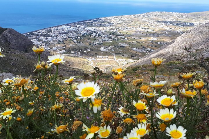 Discover the southeastern coast of Santorini - Image 2