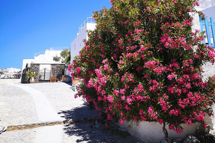 Easy Walks in Santorini Private Half Day Tour - Image 4