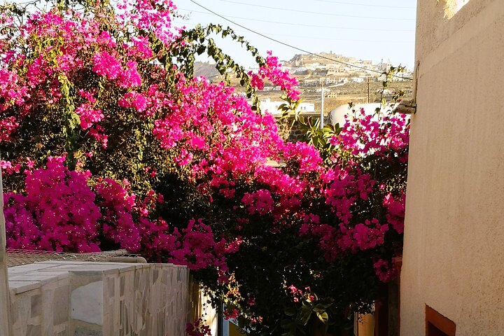 Easy Walks in Santorini Private Half Day Tour - Image 2