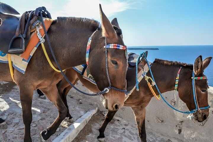 Full Santorini Highlights Private Tour - Image 3