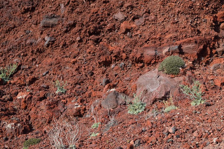 Hiking activity through the volcanic land of wonder - Image 4