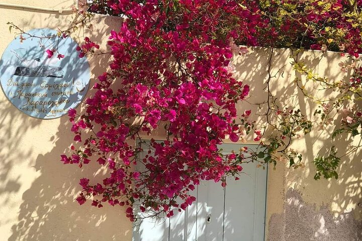 Insta Private Tour of Santorini  - Image 2