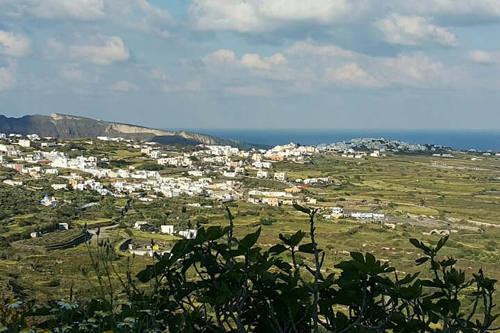 Panoramic Views Santorini Private Tour for Travelers with Limited Mobility  - Image 4