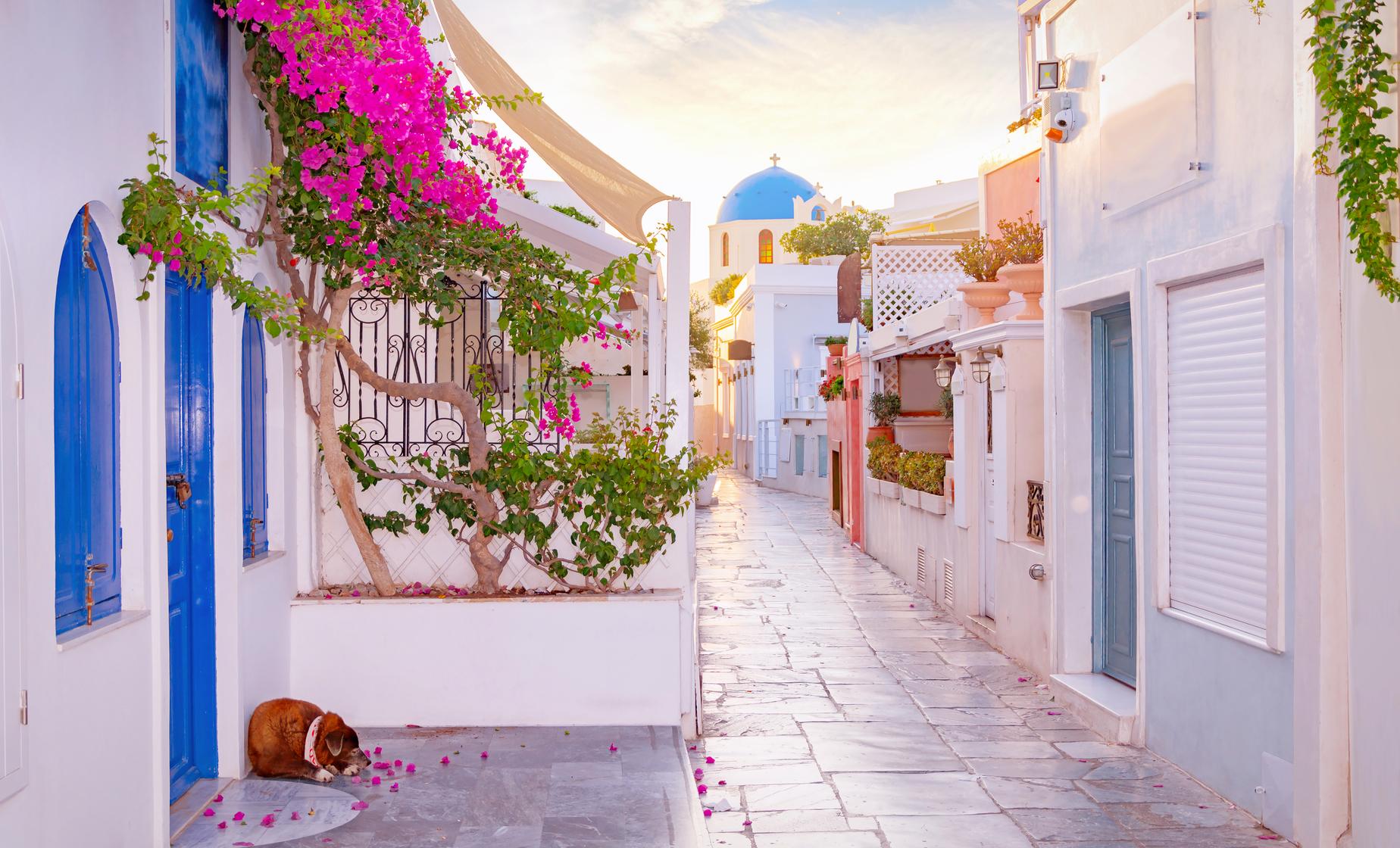 Private Best of Santorini with Lunch - Image 1
