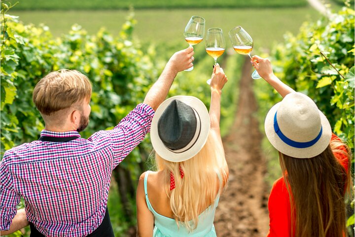 Private Half-Day Santorini Wine Tour with Tasting - Image 1