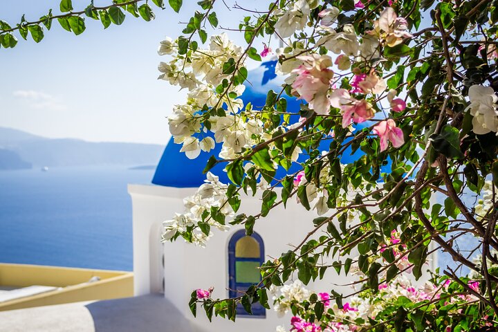 Private Half-Day Tour of Santorini Highlights with Pickup - Image 5