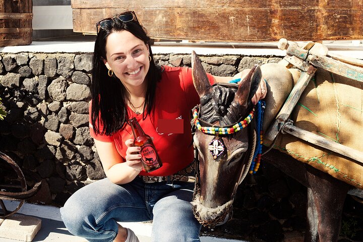 Private Half-Day Tour of Santorini Highlights with Pickup - Image 2