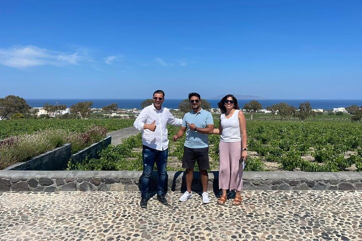 Private Santorini Fine Wine Tasting - Image 2