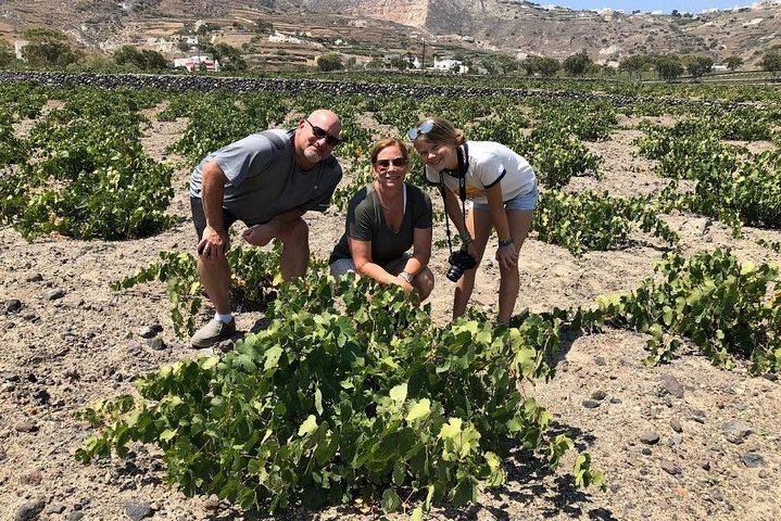 Private Tour: Great Wines and Famous Towns of Santorini - Image 5