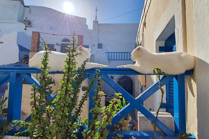 Private Tour: Santorini Panorama SUV Adventure - Image 5