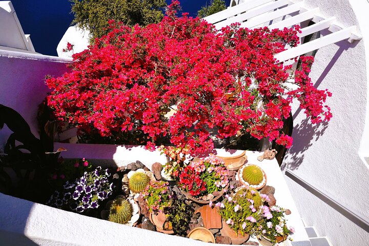 Private Unseen Authentic Santorini Half Day Shore Tour - Image 3