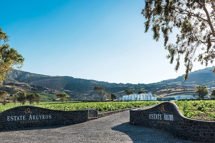 Private Vineyard Stories & Wine Tasting in Greece - Image 5