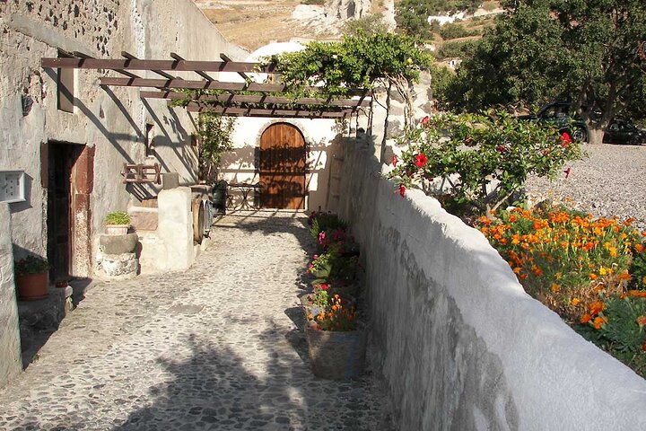 Private Vineyard Stories & Wine Tasting in Greece - Image 4