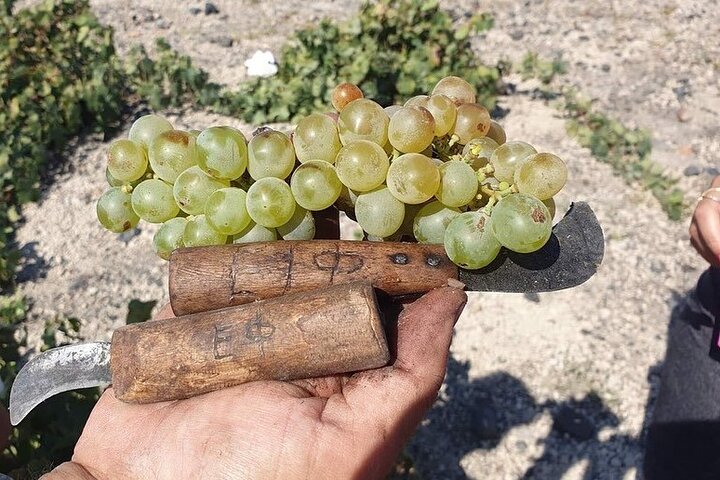 Private Wine Tour in Santorini  - Image 3