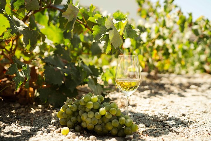 Private Wine Tour in Santorini  - Image 4