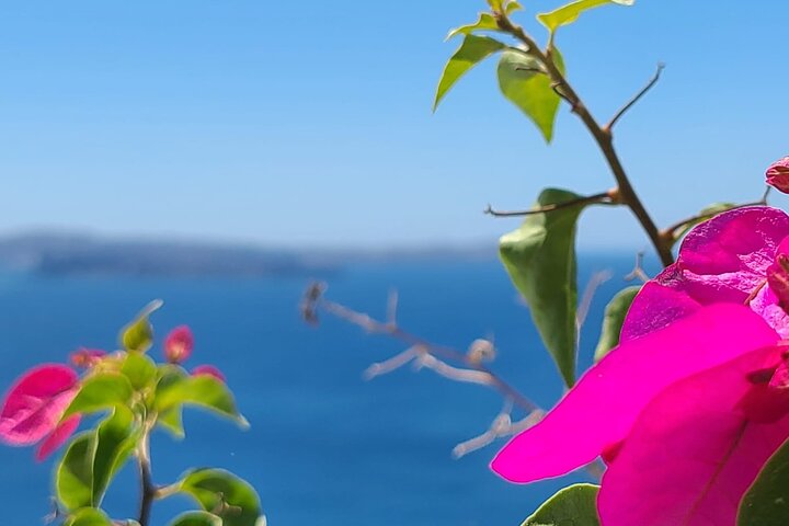 Romantic Tour through Santorini - Image 2