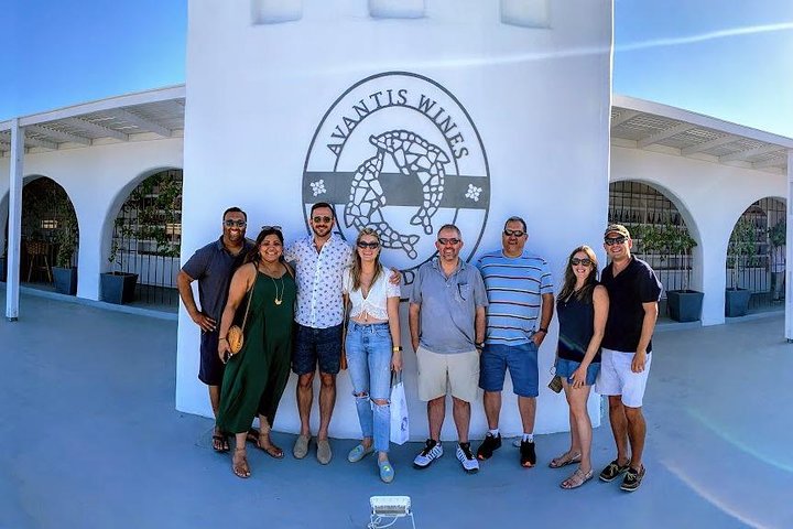 Santorini 4,5 Hours Wine Tasting Tour  - Image 1