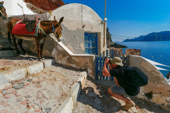 Santorini Coastal Delights: A Cruise Passenger's Dream Day - Image 4