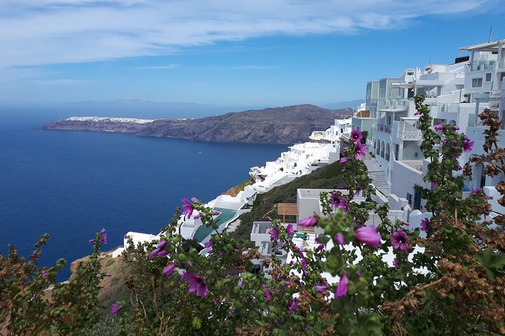 Santorini Highlights& Wine Tasting Private Tour - Image 1