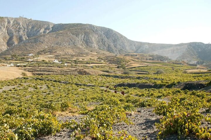 Santorini: Must-See & Winery Visit Private Tour - Image 3