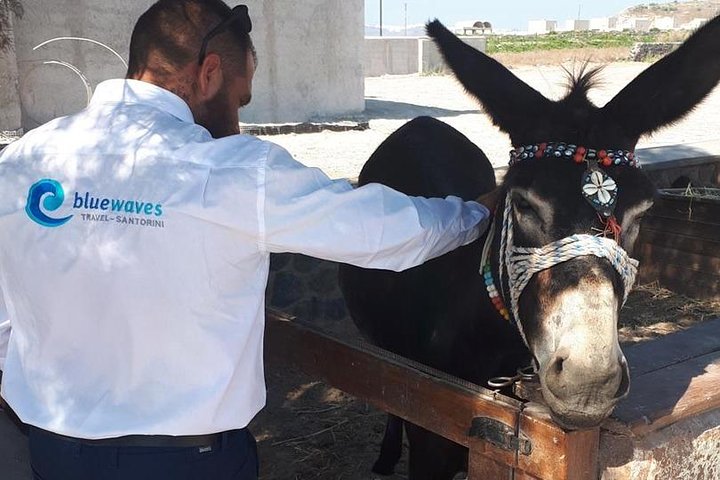 Santorini Private Tour 3hours-Wine and local product tasting - Image 2