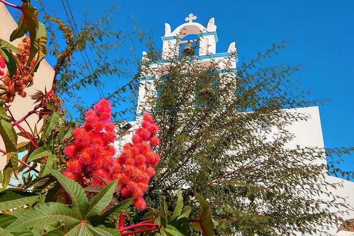 Santorini Private Tour by Luxurious Minivan for Cruise Ship Travelers - Image 5