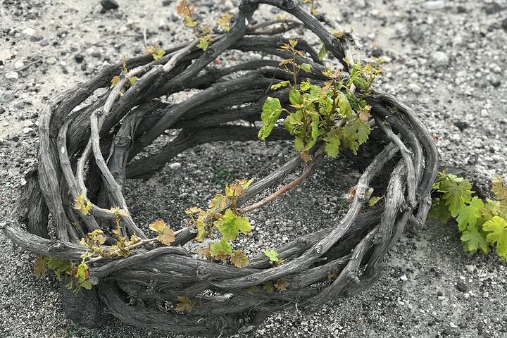 Santorini wine tasting and traditional cave settlement tour - Image 4