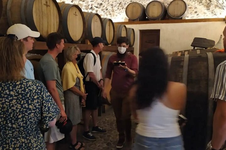 Santorini Wine Tasting: Private Tour with a Certified Wine Guide - Image 3