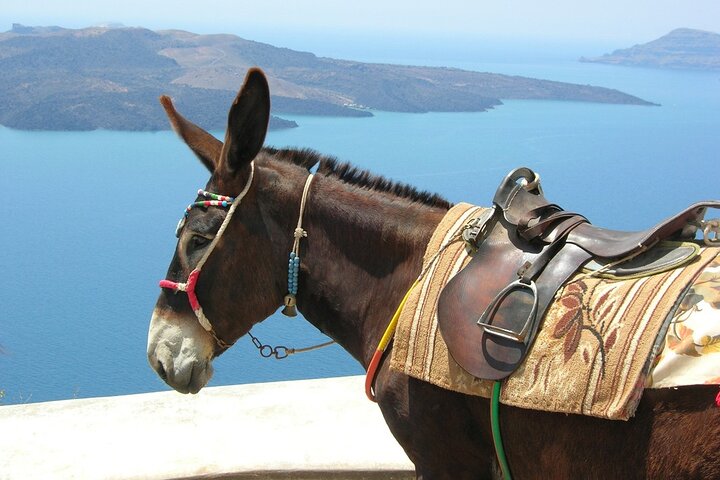 Santorini's Hidden Gems: Full-day Private Guided Tour - Image 1