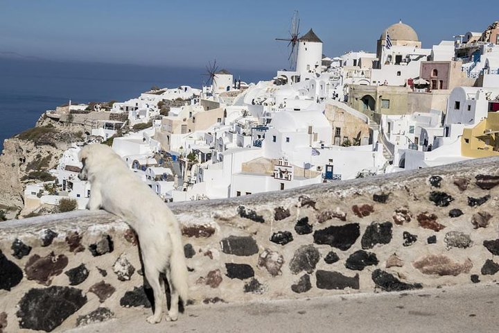  Santorini's Panoramic Blue Shade Tour  - Image 2