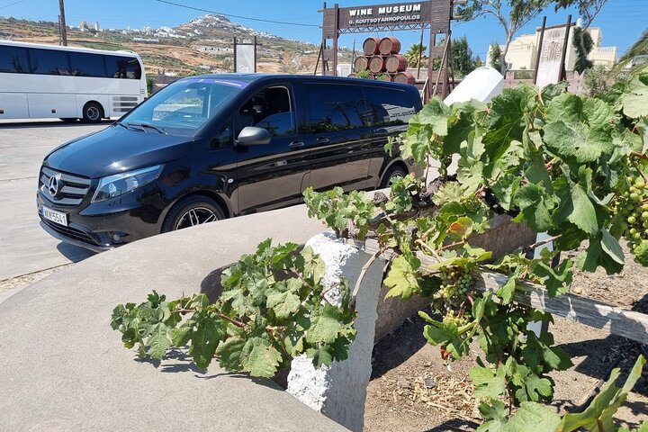 Santorini's Wine Roads: Private Guided Wine Tour - Image 1