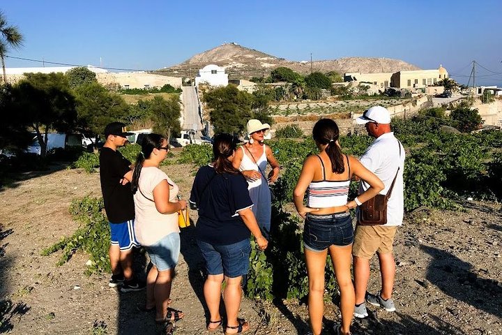 Top Santorini Attractions Highlights Day Tour 7 Hours - Image 5
