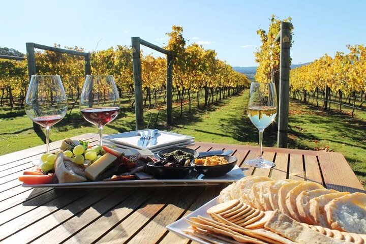 Wine tour and private cooking class 6 hours - Image 1