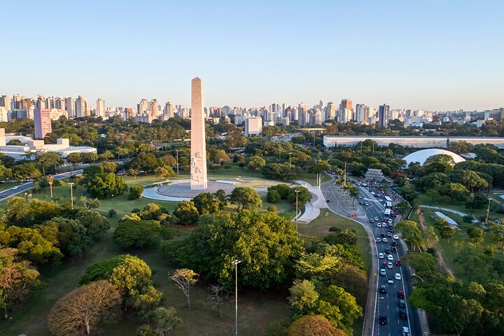 Full Day Private Shore Tour in Sao Paulo from Santos Cruise Port - Image 2