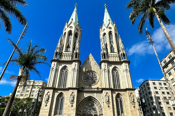 Full Day Private Shore Tour in Sao Paulo from Santos Cruise Port - Image 1