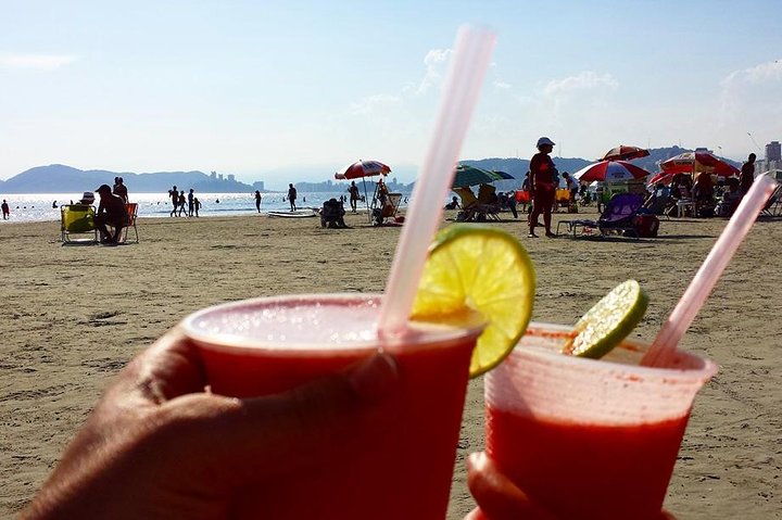 Santos Shore Excursion: Full Day Beaches Tour - Image 4