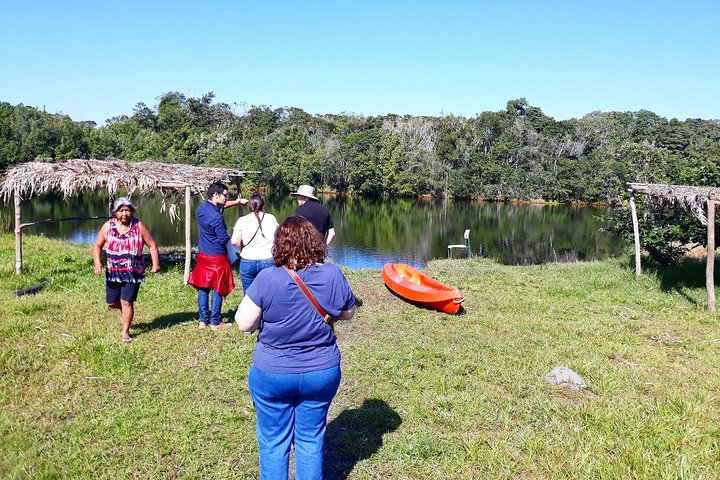 Santos Shore Excursion: Full Day Rain Forest and Indian Reservation Experience - Image 4
