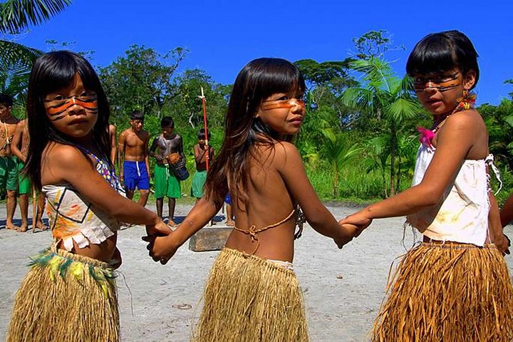 Santos Shore Excursion: Full Day Rain Forest and Indian Reservation Experience - Image 1