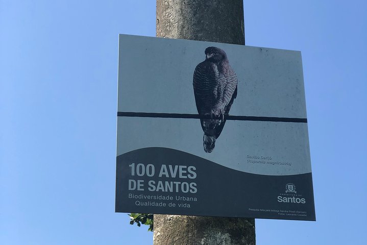 Santos - Walk the Largest Beach Garden in the World - Image 2
