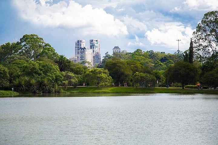 São Paulo Private City Tour from Santos Cruise Terminal - Image 1