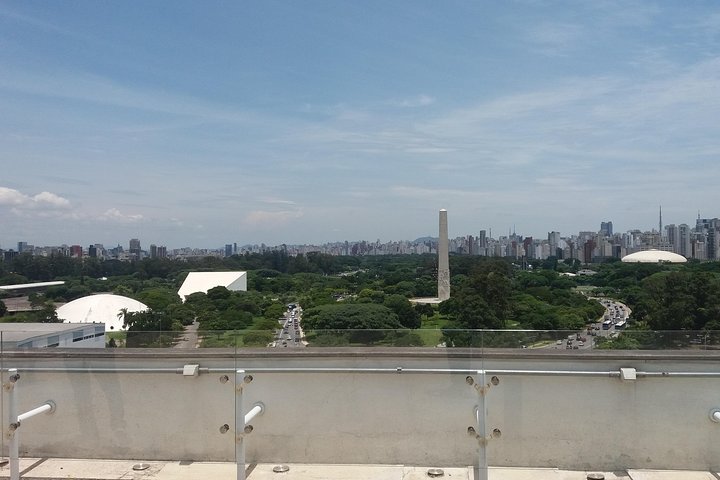 Shore Excursion from Santos Terminal Cruise to São Paulo City - Image 3