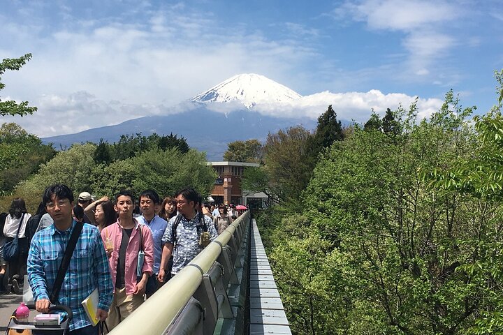 Private Car Mt Fuji and Gotemba Outlet in One Day from Tokyo - Image 4
