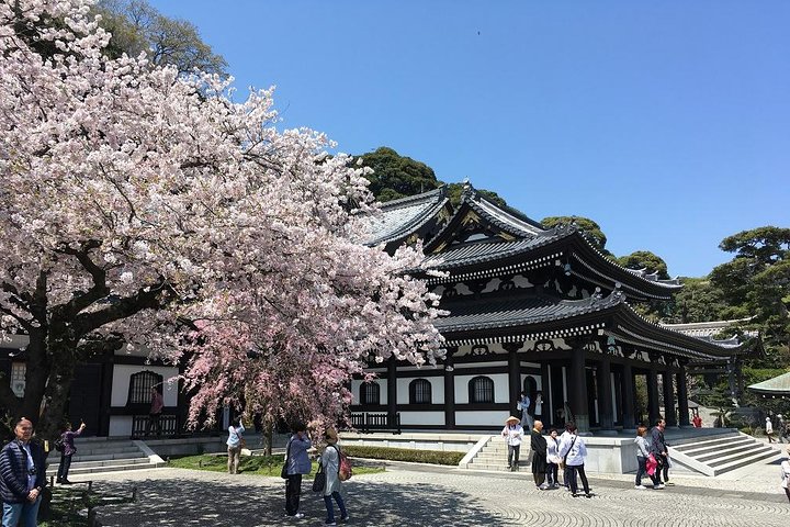 Private Car Tour to see Highlights of Kamakura, Enoshima, Yokohama from Tokyo - Image 3