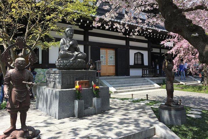 Private Car Tour to see Highlights of Kamakura, Enoshima, Yokohama from Tokyo - Image 4