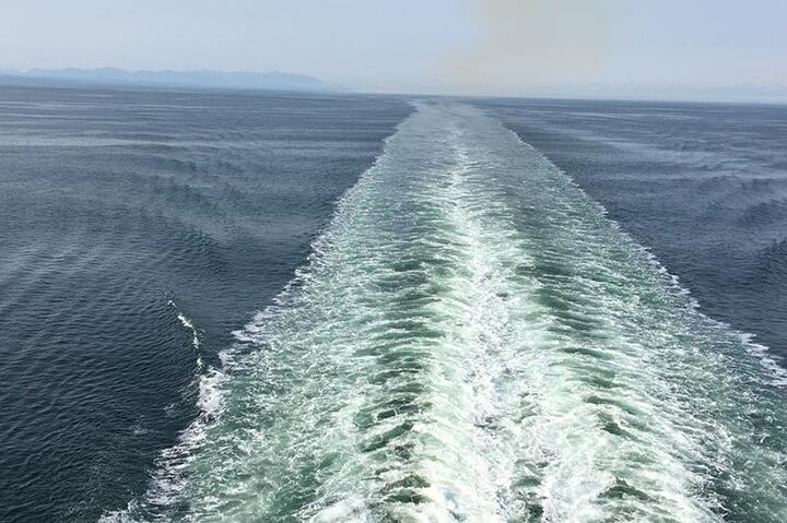 Explore Olympic National Park from Seattle through Van /Ferry - Image 4