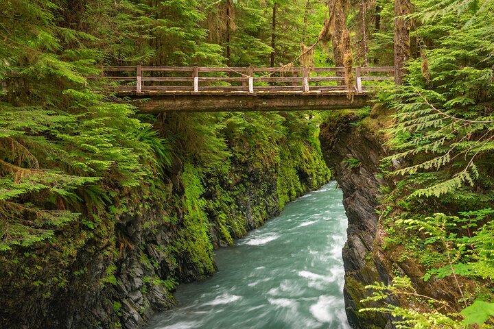 Explore Olympic National Park from Seattle through Van /Ferry - Image 5