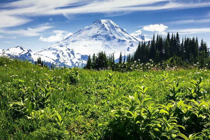 From Seattle - Enchanting Mt Baker and Cascades Tour in SUV - Image 3