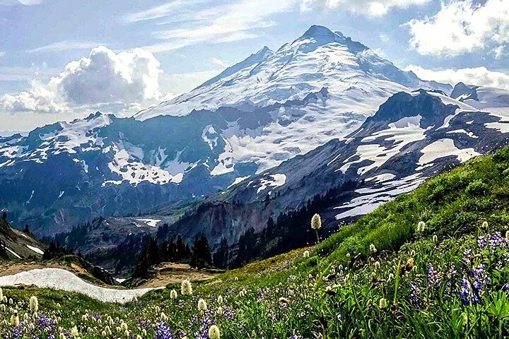 From Seattle - Enchanting Mt Baker and Cascades Tour in SUV - Image 5