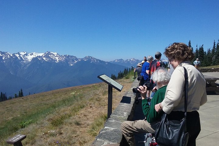 Hurricane Ridge Olympic National Park from Seattle - Image 3