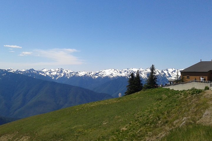 Hurricane Ridge Olympic National Park from Seattle - Image 5